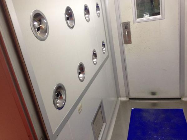 彩钢板风淋通道 彩钢板风淋通道实物图